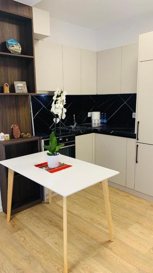 Proper Central Apartment ティラナ エクステリア 写真